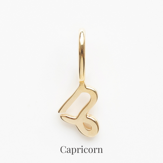 Treasured Zodiac Charm