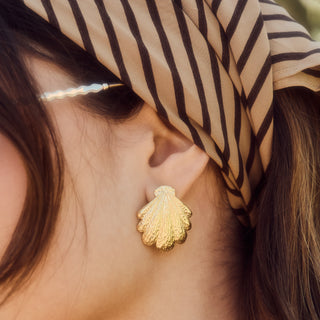 Statement shell stud earrings in gold