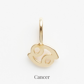 Treasured Zodiac Charm