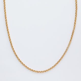 rolo chain necklace gold