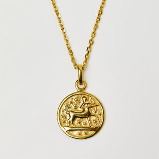 Horoscope Zodiac Pendant Necklace In Gold Vermeil - Necklace - Carrie Elizabeth