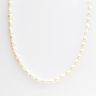 celestial cz front facing clasp pearl necklace in gold