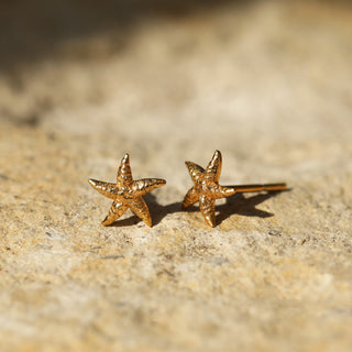 starfish stud earring gold