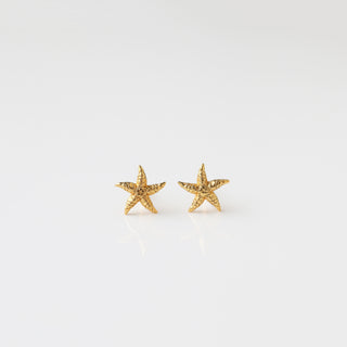 Mini Starfish Stud Earrings