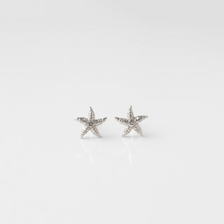 Mini Starfish Stud Earrings