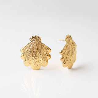 Statement shell stud earrings in gold