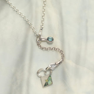 Albert Dog Clip Extender Chain