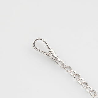 Albert Dog Clip Extender Chain