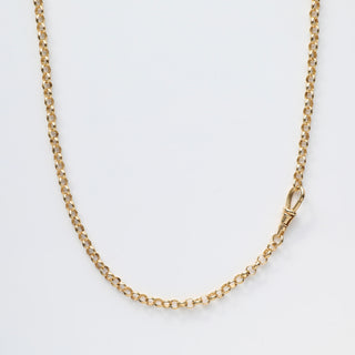 vintage dog clip lock chain