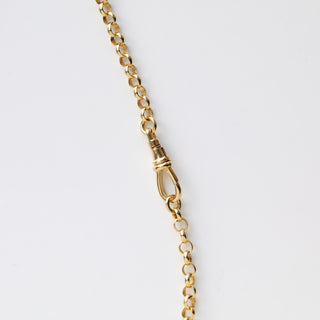 Carrie Elizabeth Gold Albert chain set
