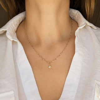 Carrie Elizabeth solid gold paw print charm on chain
