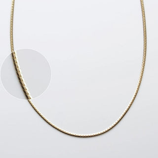 Treasured Slinky Chain Necklace