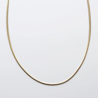 Treasured Slinky Chain Necklace