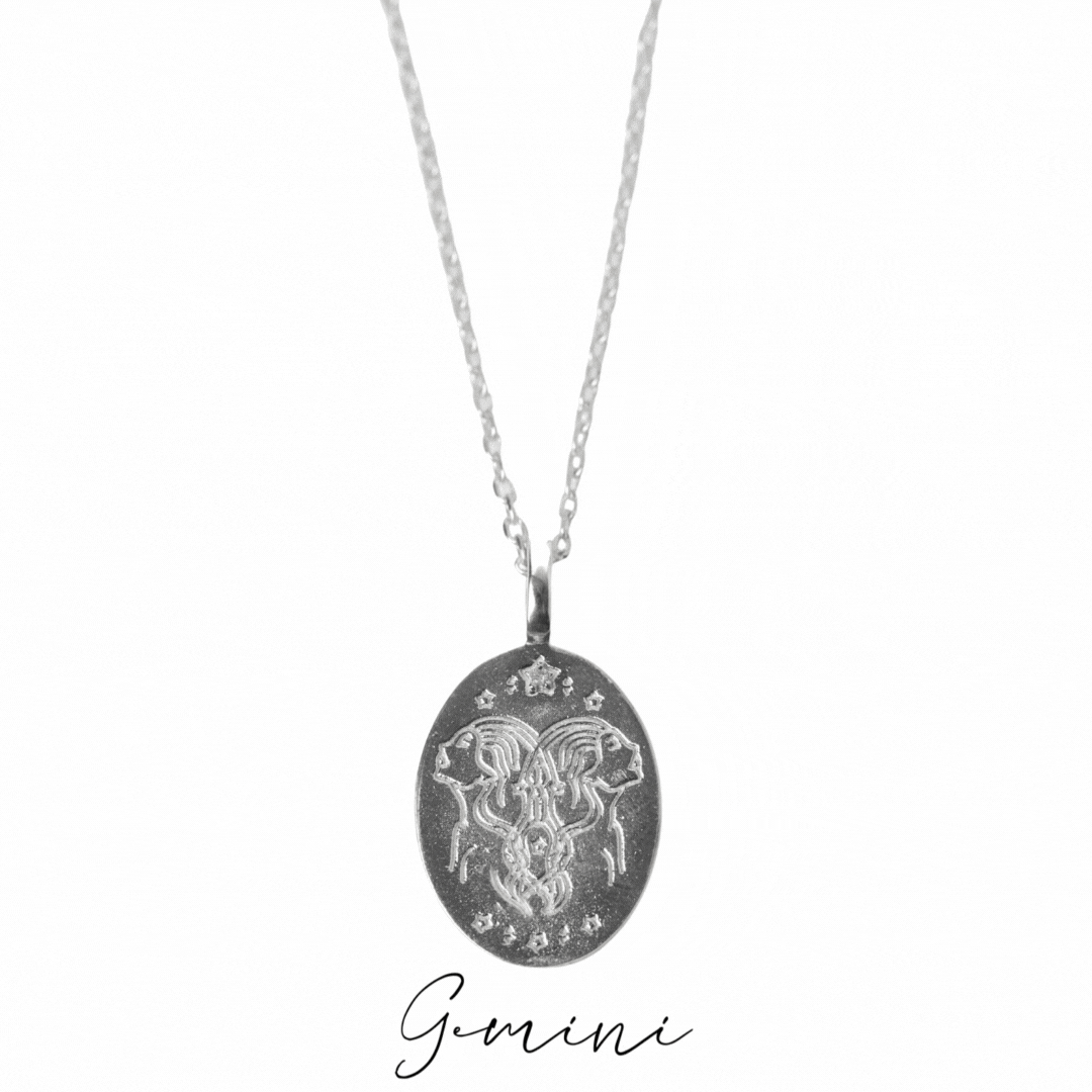 Diamond Detail Horoscope Coin Necklace