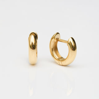Luxe Hoop Earrings