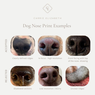 Custom Made Dog Nose Print Signet Ring