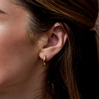 Luxe Hoop Earrings
