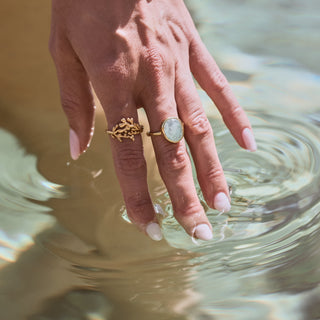 Carrie Elizabeth Talia Grapolite Ring