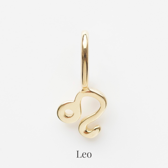 Zodiac Charm