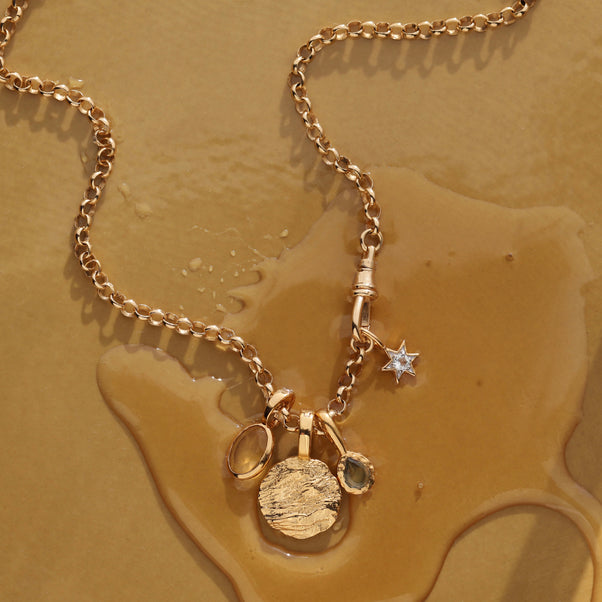 vintage dog clip lock chain