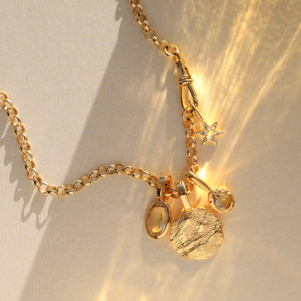 vintage dog clip lock chain
