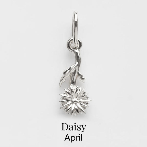 april birth flower