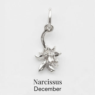 december birth flower