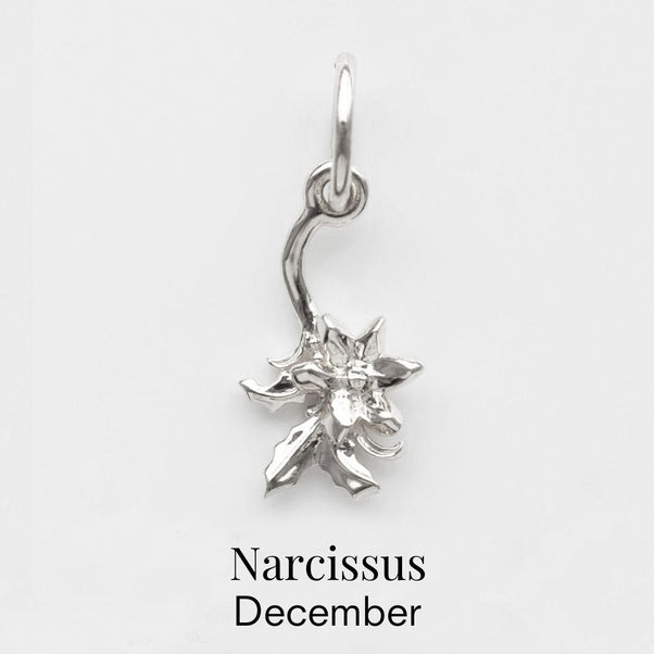 december birth flower