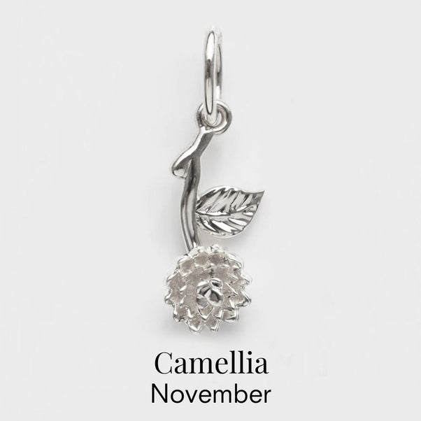november birth flower