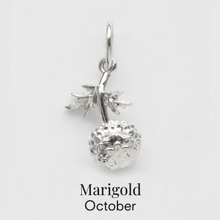 october birth flower