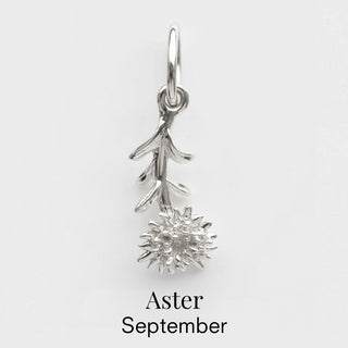 september birth flower