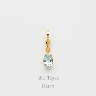 Birthstone Albert Vintage Dog Clip Charm