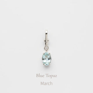 Birthstone Albert Vintage Dog Clip Charm