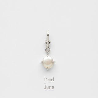 Birthstone Albert Vintage Dog Clip Charm