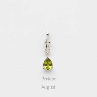 Birthstone Albert Vintage Dog Clip Charm