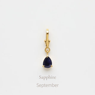 Birthstone Albert Vintage Dog Clip Charm