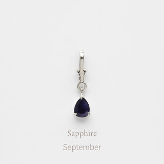 Birthstone Albert Vintage Dog Clip Charm