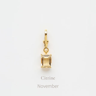 Birthstone Albert Vintage Dog Clip Charm