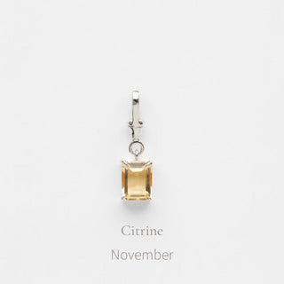 Birthstone Albert Vintage Dog Clip Charm
