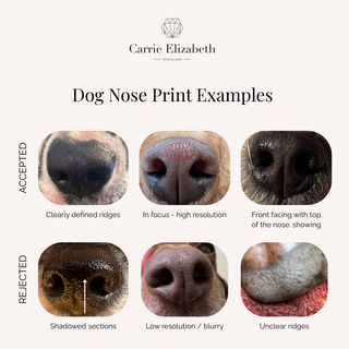 pet nose print jewellery