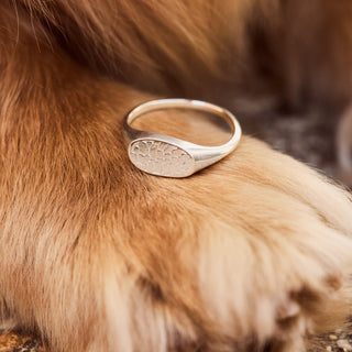 silver ring for pet nose ring