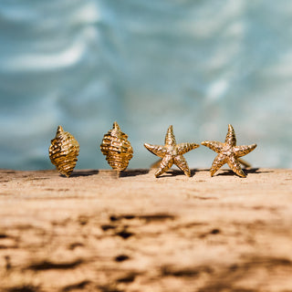 gold shell earrings