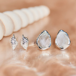 silver shell stud earrings