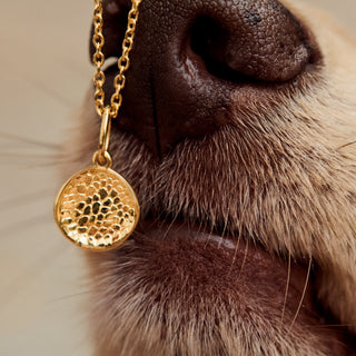 pet nose charm