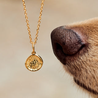 dog nose print charm