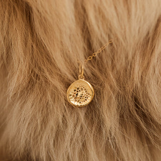 Carrie Elizabeth Pet nose charm