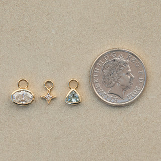 carrie elizabeth earring charm