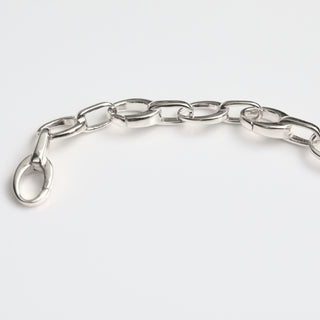 Link Charm Bracelet