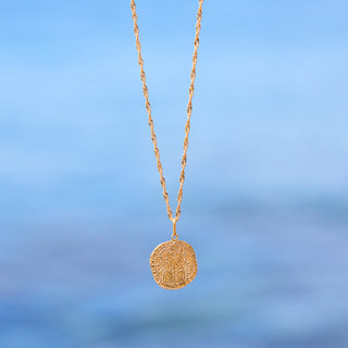 carrie elizabeth gold coin for strength