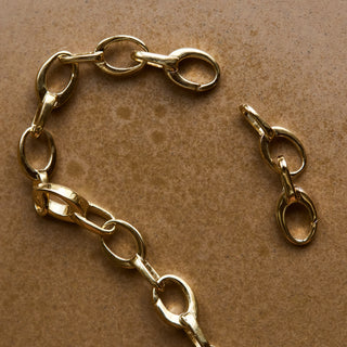 Link Charm Bracelet